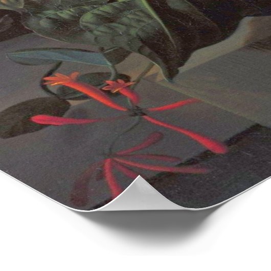 Ruysch - Teufelsschlampe, Kaktus, Abb. Branch, Hon Poster (Ecke)