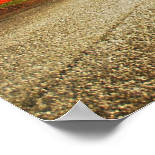 RV Flyby Poster (Ecke)