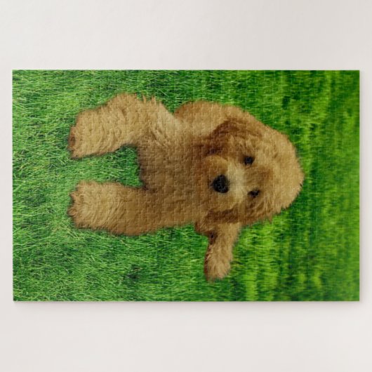 Rx the Goldendoodle Puzzle (Horizontal)