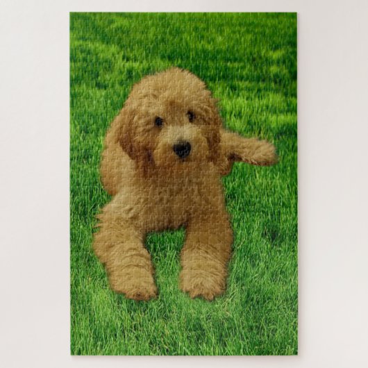 Rx the Goldendoodle Puzzle (Vertikal)