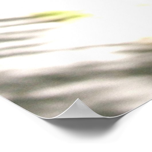 Ryan Kelly Music - Poster - Grüne Bäume (Ecke)