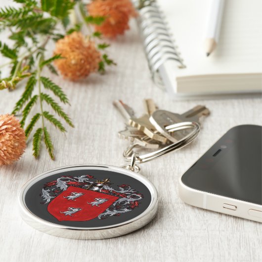 Ryan-Wappen Schlüsselanhänger (Seite)