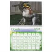 Ryder the pom Calendar Kalender (Mär 2027)