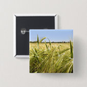 Rye Button (Vorne & Hinten)