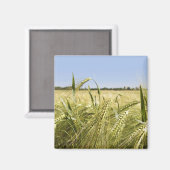 Rye Magnet (Vorderseite/Rückseite)