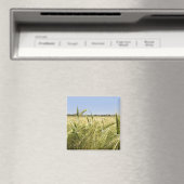 Rye Magnet (In Situ (Geschirrspüler))