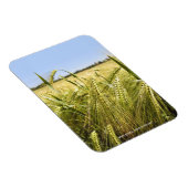 Rye Magnet (Rechte Seite)