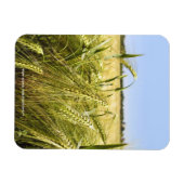 Rye Magnet (Horizontal)