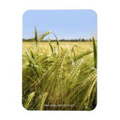 Rye Magnet (Vertikal)