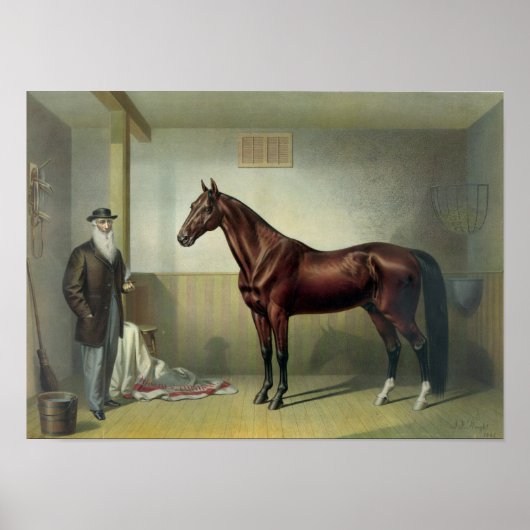 Rysdyk's Hambletonian - 1876 Poster (Vorne)