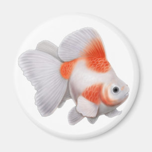 Ryukin Goldfisch-runder Magnet