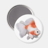 Ryukin Goldfish Round Magnet (Vorderseite/Rückseite)