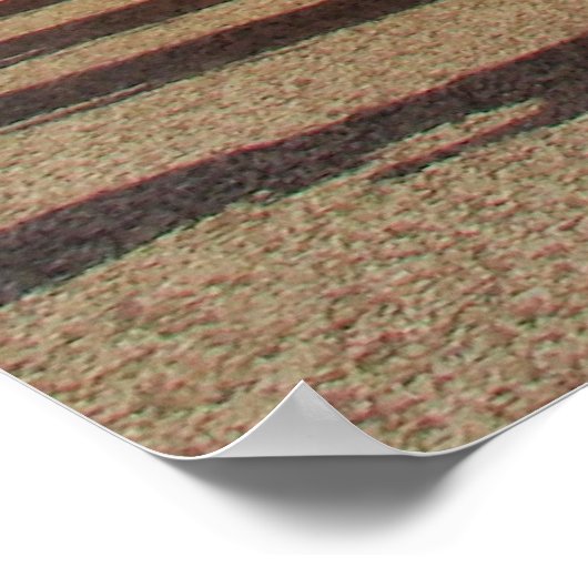 Ryukyu Dance Foto Poster (Ecke)