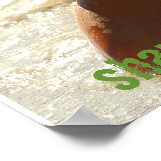 S0171(2), shaunavalance.com poster (Ecke)