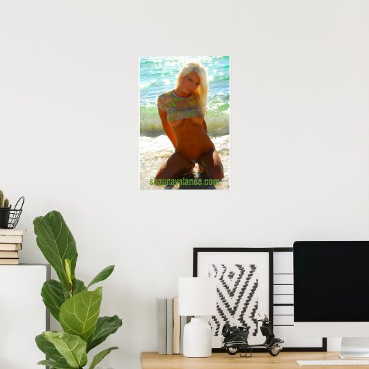 S0171(2), shaunavalance.com poster (Heimbüro)