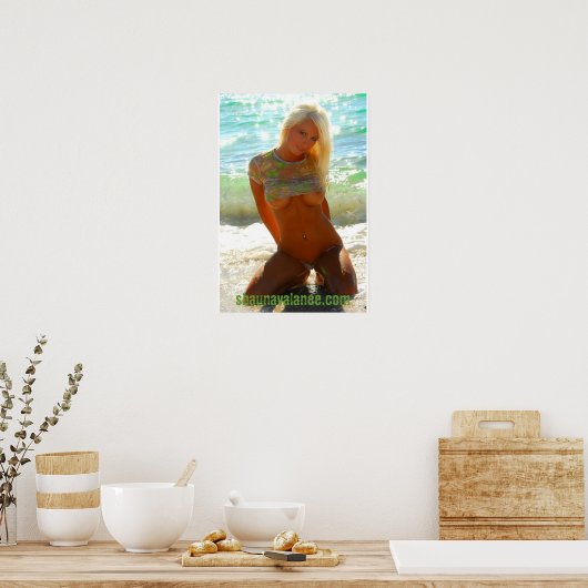 S0171(2), shaunavalance.com poster (Küche)