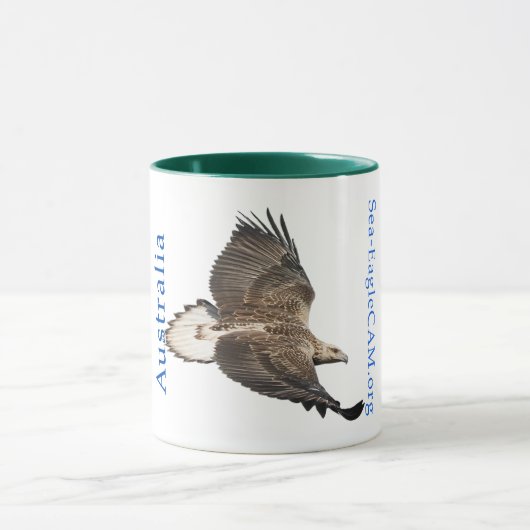 S3 in der Flug-Tasse Tasse (Zentrum)