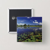 S.A., Brasilien, Wasserstraßen in Pantanal Button (Vorne & Hinten)