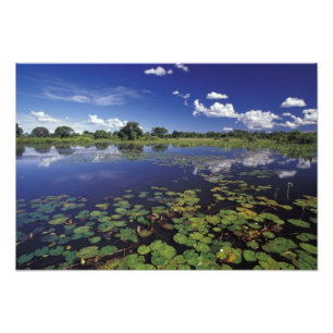 S.A., Brasilien, Wasserstraßen in Pantanal Fotodruck