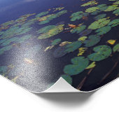 S.A., Brasilien, Wasserstraßen in Pantanal Fotodruck (Ecke)