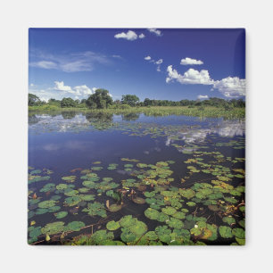 S.A., Brasilien, Wasserstraßen in Pantanal Magnet