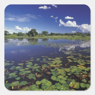 S.A., Brasilien, Wasserstraßen in Pantanal Quadratischer Aufkleber