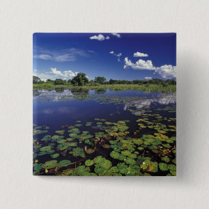 S.A., Brasilien, Wasserwege im Pantanal Button
