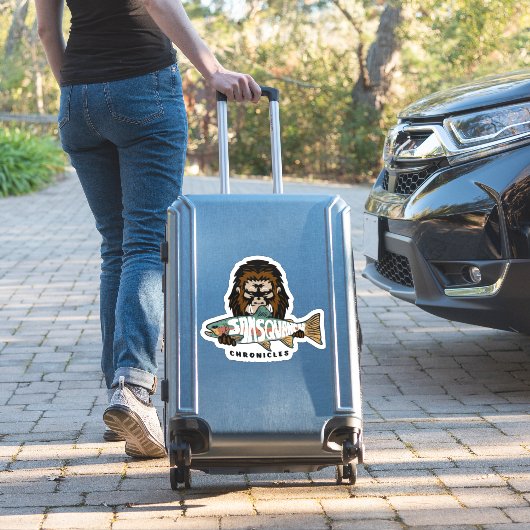 S AUFKLEBER (Koffer Insitu)