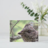 S Flaming Gorge Utah Fauna Birds Aves Tiere Postkarte (Stehend Vorderseite)