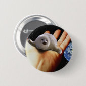 S.O.S. RETTE UNSERE HARP-SIEGEL BUTTON (Vorne & Hinten)