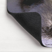 S.O.S. RETTE UNSERE HARP SIEGEL Wildlife Mousepad (Ecke)