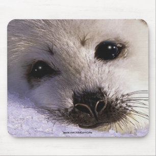 S.O.S. RETTE UNSERE HARP SIEGEL Wildlife Mousepad