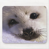 S.O.S. RETTE UNSERE HARP SIEGEL Wildlife Mousepad (Vorne)