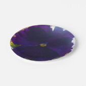 S PAPPTELLER (Schrägansicht)