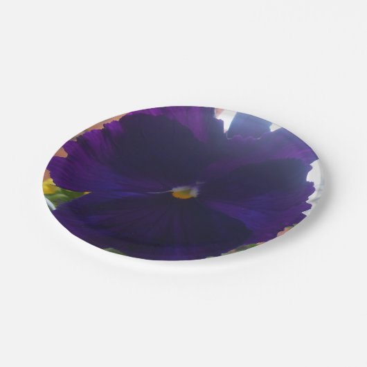 S PAPPTELLER (Schrägansicht)