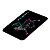 S Rozhdestvom - Electric Caribbean Magnet (Linke Seite)