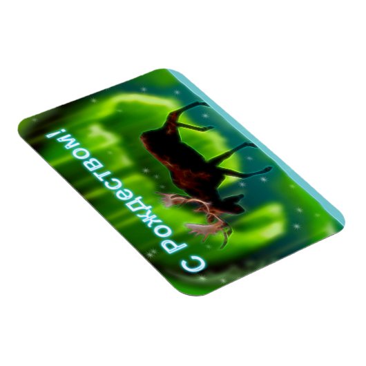 S Rozhdestvom — Northern Lights Moose Magnet (Rechte Seite)