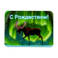 S Rozhdestvom — Northern Lights Moose
