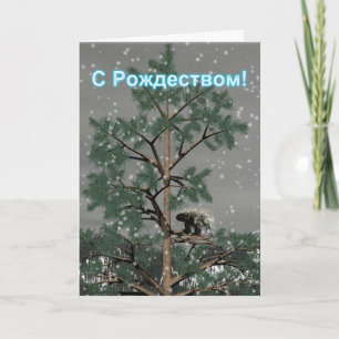 S Rozhdestvom - Porcupine In einem Kiefernbaum Feiertagskarte