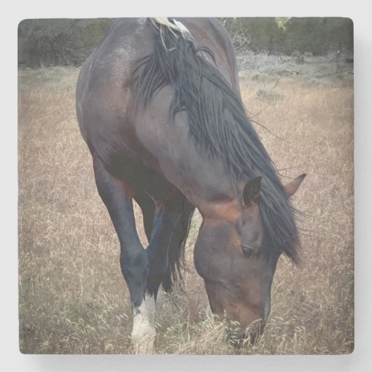 S Steens Coaster Steinuntersetzer (Vorderseite)