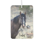S Steens Stallions Air Freshener Autolufterfrischer (Vorderseite)