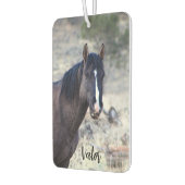 S Steens Stallions Lufterfrischer (Links)
