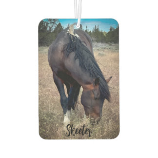 S Steens Stallions Lufterfrischer