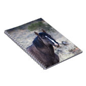 S Steens Stallions Tote Notizblock (Rechte Seite)