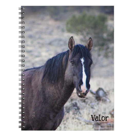 S Steens Stallions Tote Notizblock (Vorderseite)