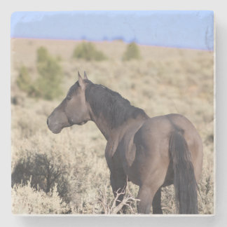 S Steens Stone Coaster Steinuntersetzer