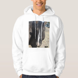S Steens Wert  Hoodie