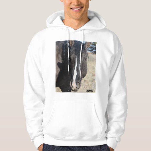 S Steens Wert Hoodie (Vorderseite)