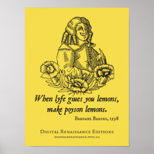 S(t)Altersberatung Poster