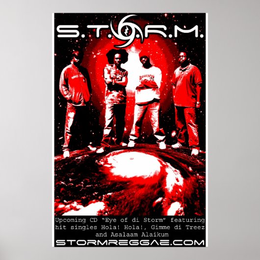 S.T.O.R.M. Poster (Vorne)